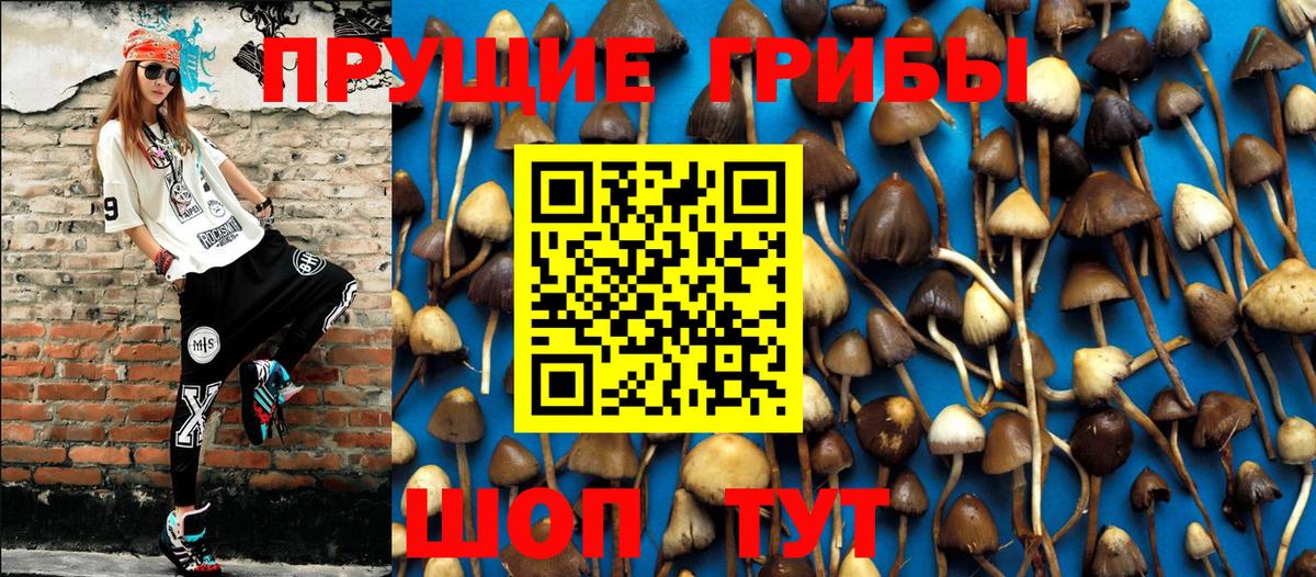 Галлюциногенные грибы прущие грибы Уссурийск