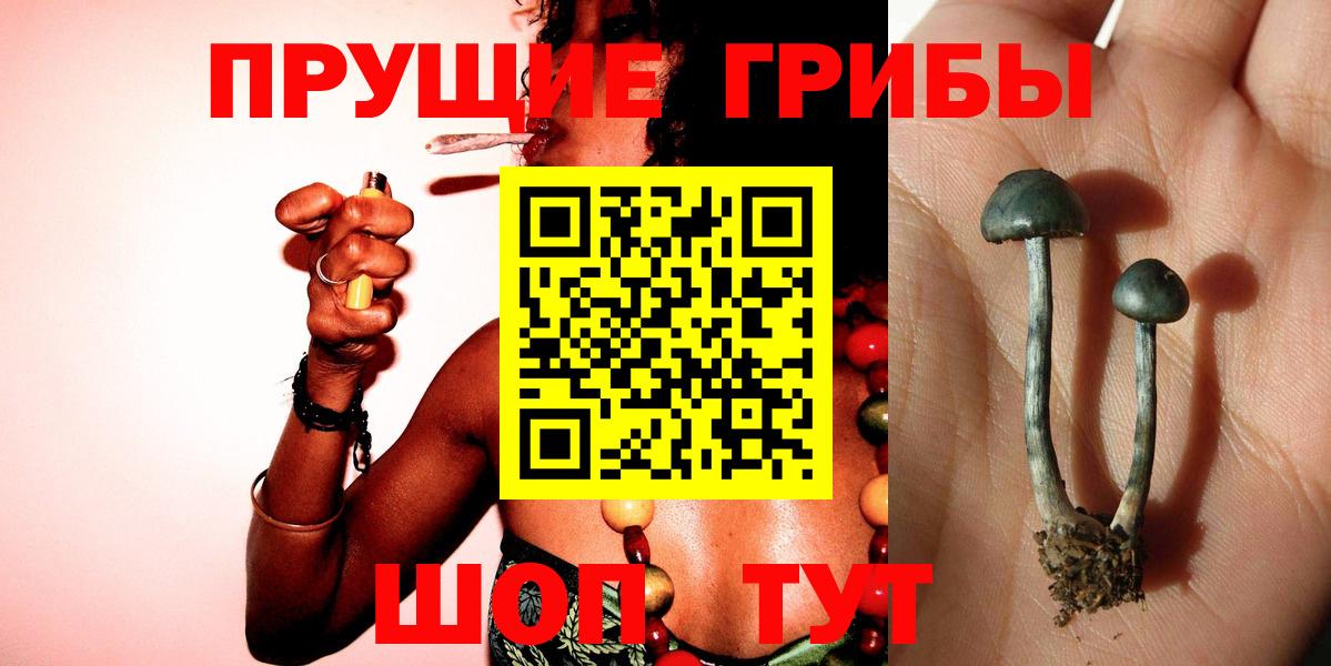 Галлюциногенные грибы прущие грибы  Вход с VPN  Галлюциногенные грибы Cubensis  Уссурийск 